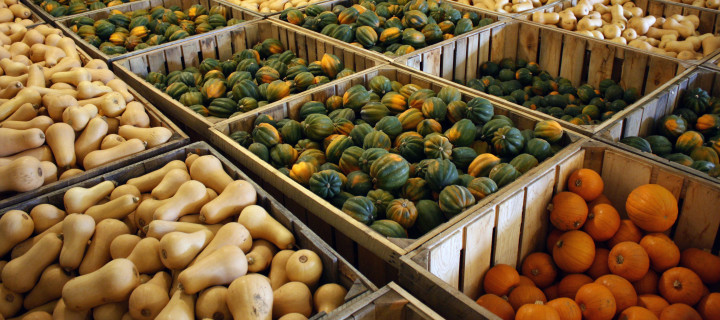 Rockville Market Farm: A winter squash wonderland Rockville Market Farm: A winter squash wonderland