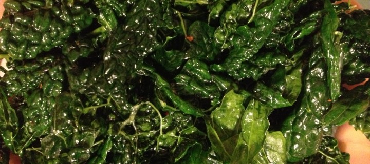 Massaging kale Massaging kale