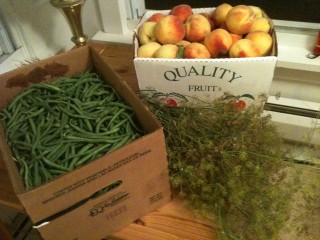 This is what most people think a CSA share looks like. It doesn't. There's more variety than you think, and the quantities are manageable.