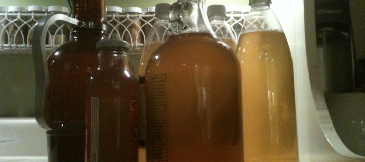 Kombucha Kombucha