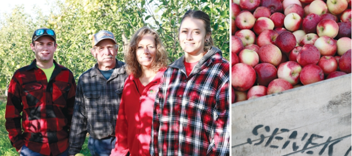 In the field: Senek Farms In the field: Senek Farms